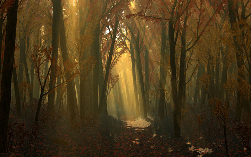 Sunlit Forest Path — Brown