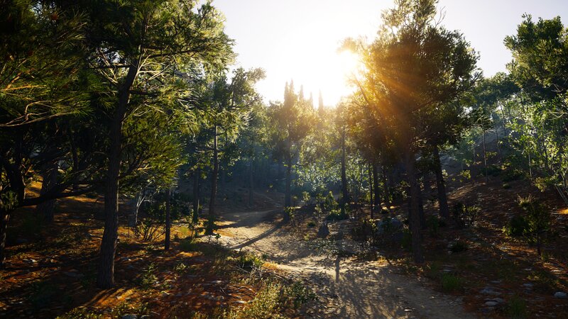 Sunlit Forest Path — Green, Serene, Afternoon, 3d Render