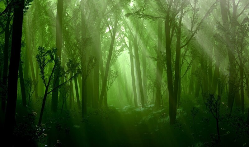 Sunlit Forest Path — Green, Serene, Morning, Digital Art, Trees, Fog