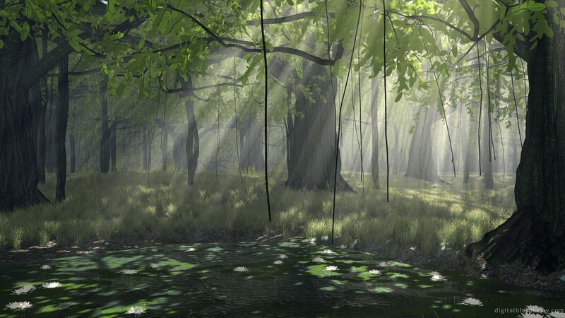 Sunlit forest pond