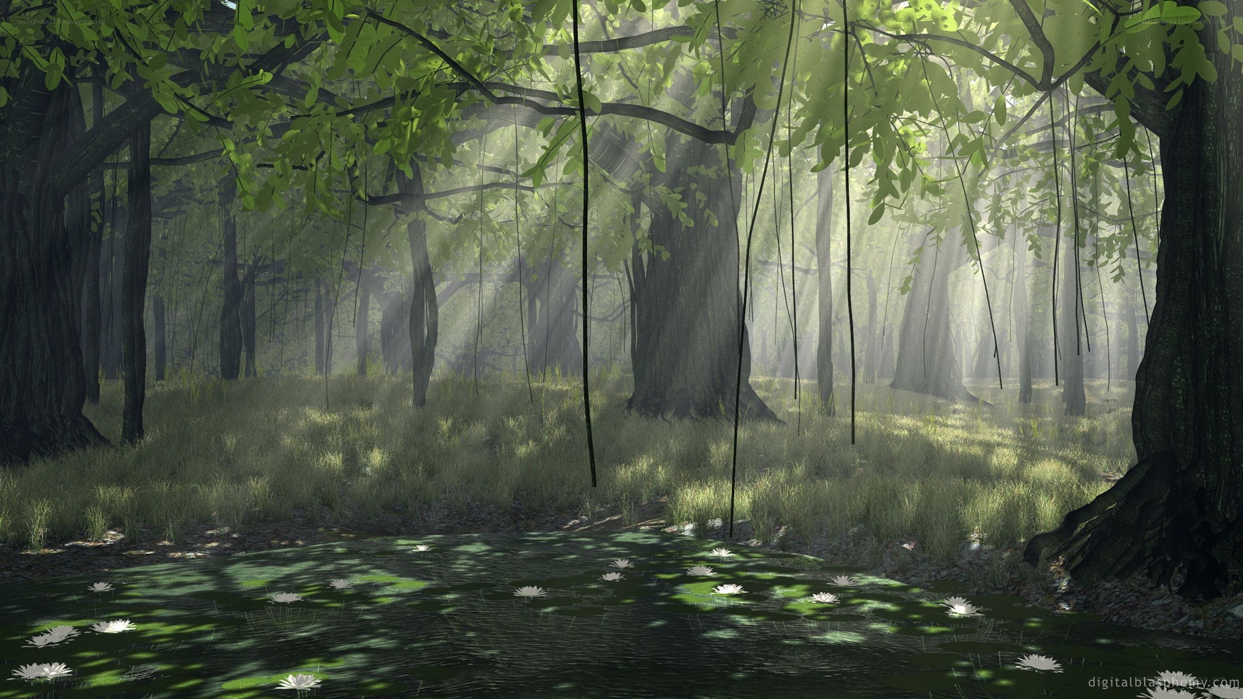 Sunlit forest pond