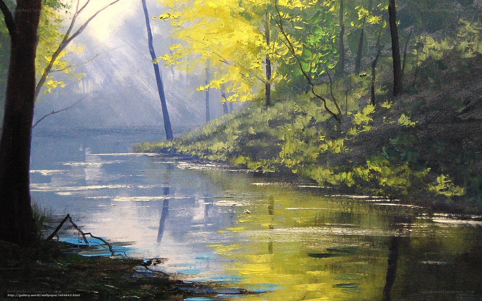 Sunlit Forest River Scene