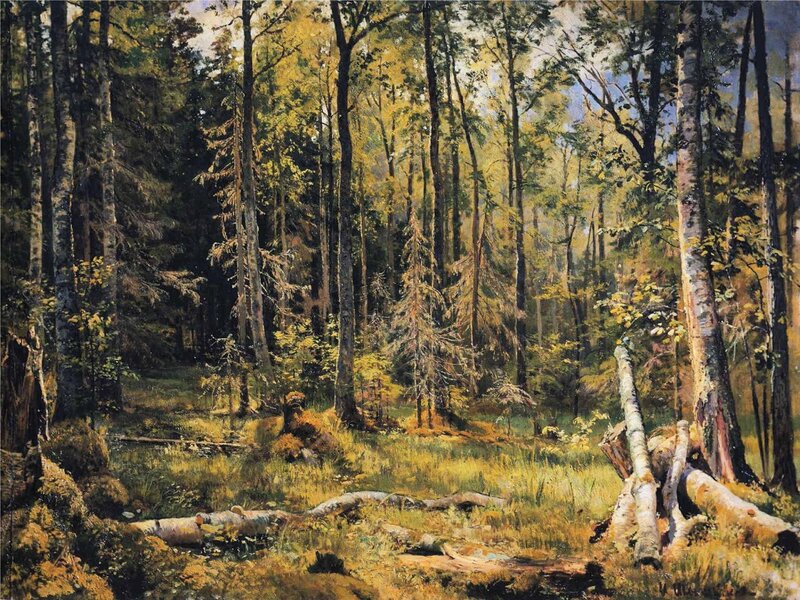 Sunlit Forest Scene — Green, Serene