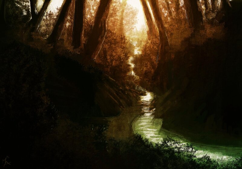 Sunlit forest stream