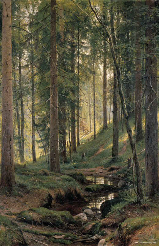 Sunlit forest stream