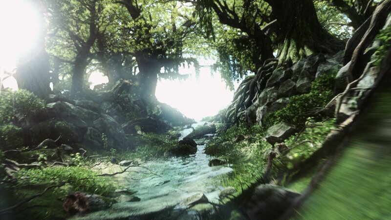 sunlit forest stream