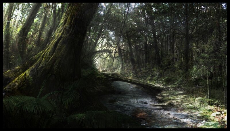 Sunlit forest stream