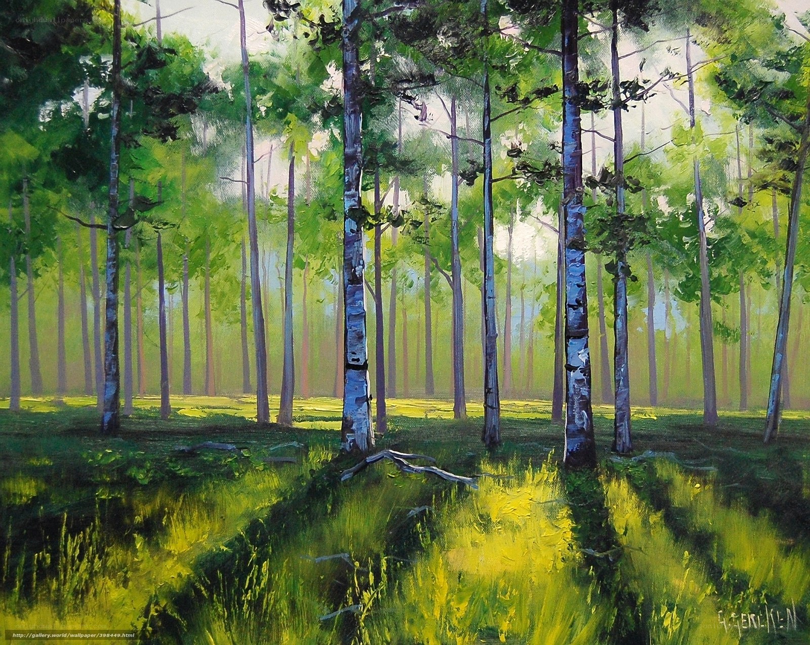 Sunlit forest with birch trees