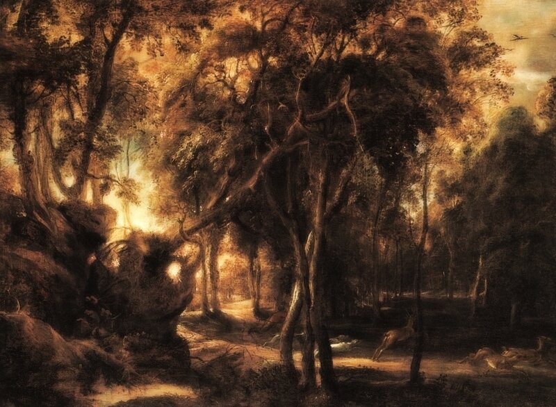 Sunlit forest with deer