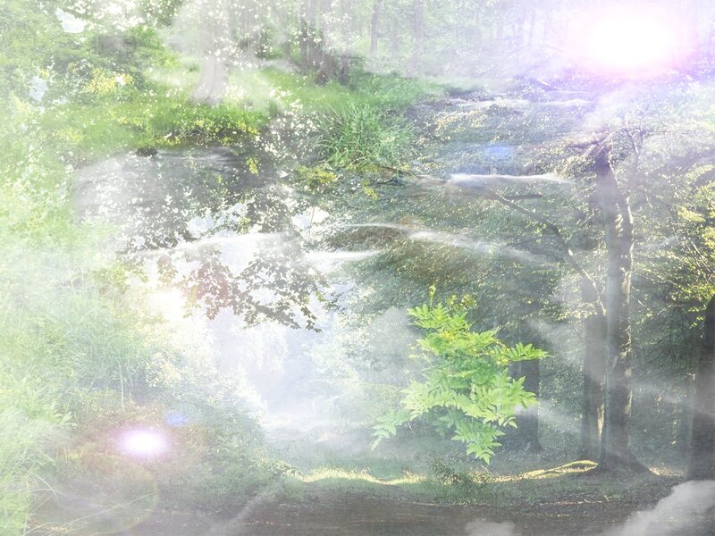Sunlit Forest with Mist