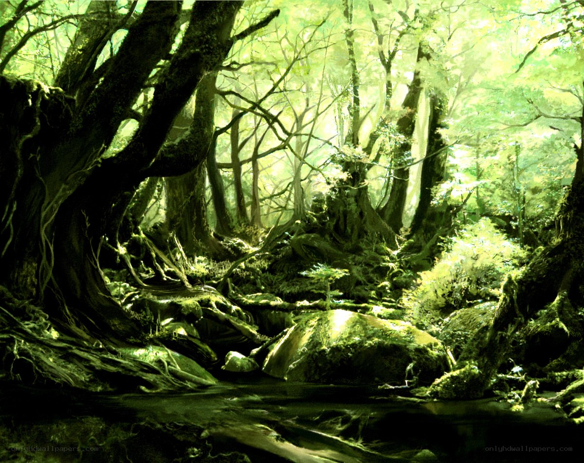 Sunlit forest with mossy trees
