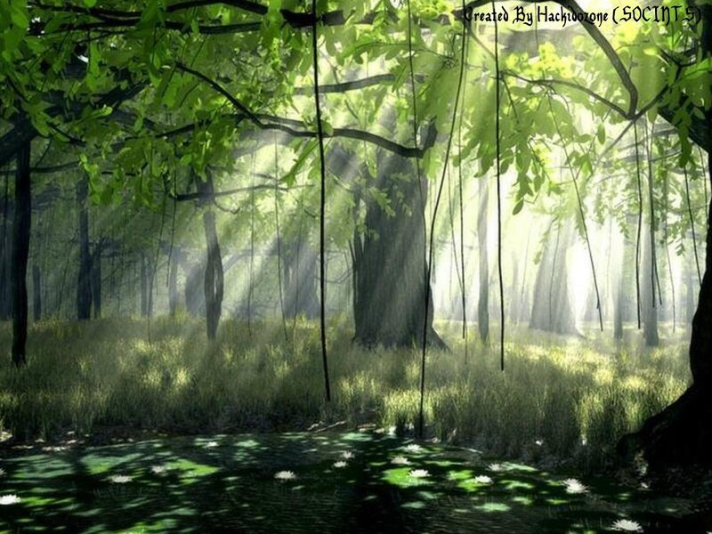 Sunlit Forest with Pond — Green