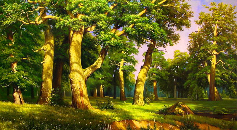 Sunlit Forest with Trees — Green, Serene, Afternoon