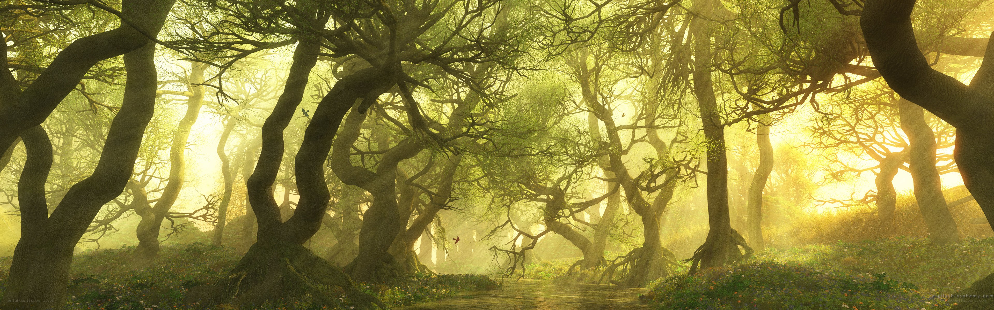 Sunlit forest with twisted trees