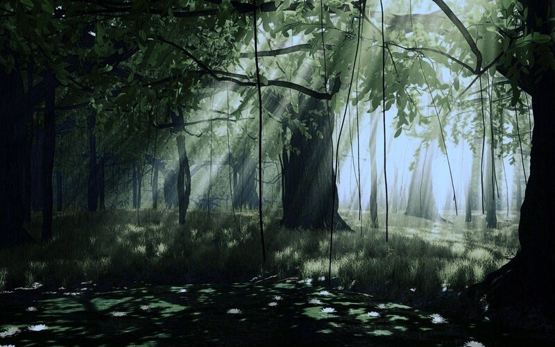 Sunlit Forest with Water Lilies