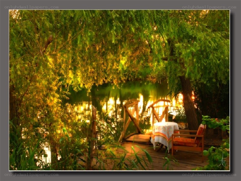 Sunlit garden by the water