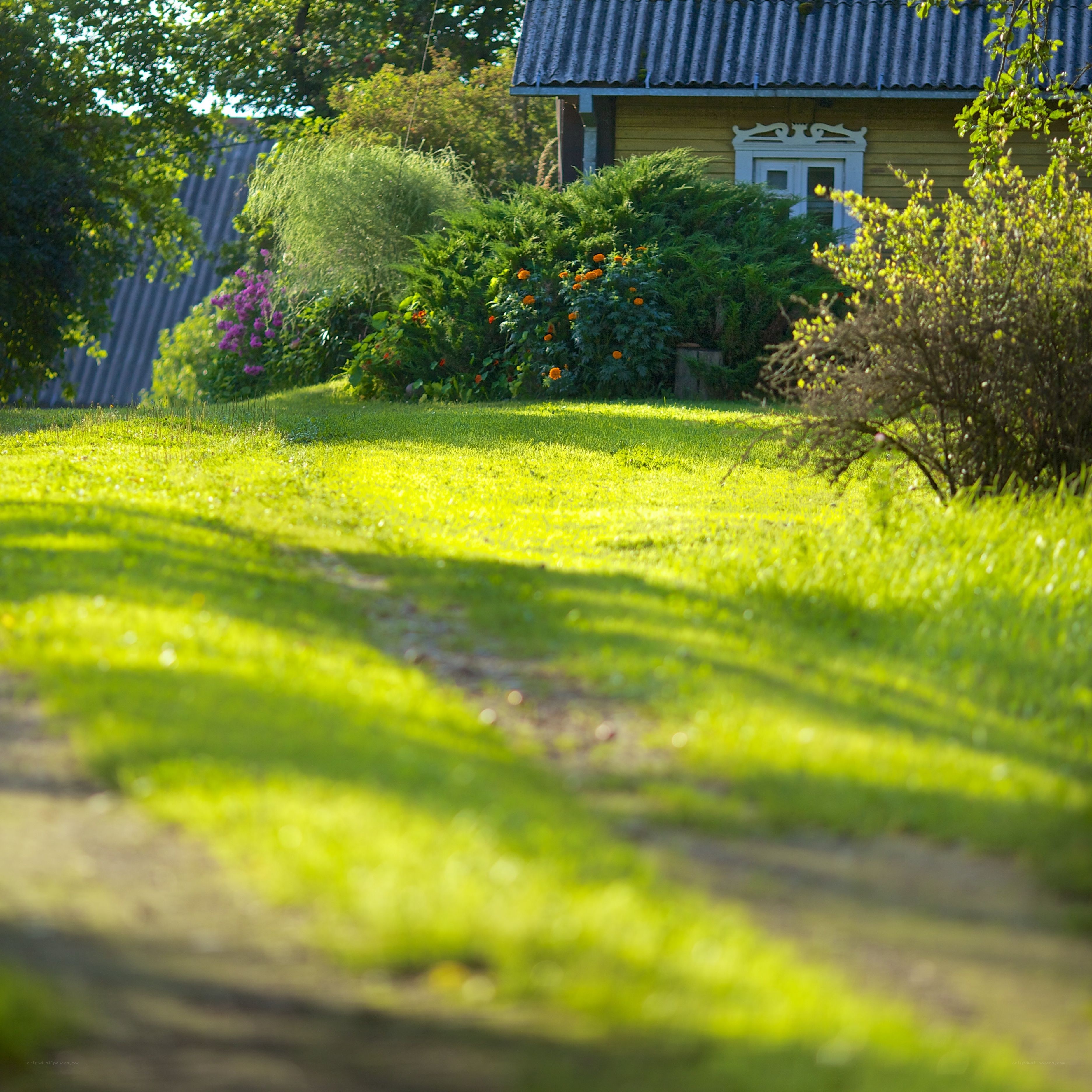 Sunlit garden path to cottage