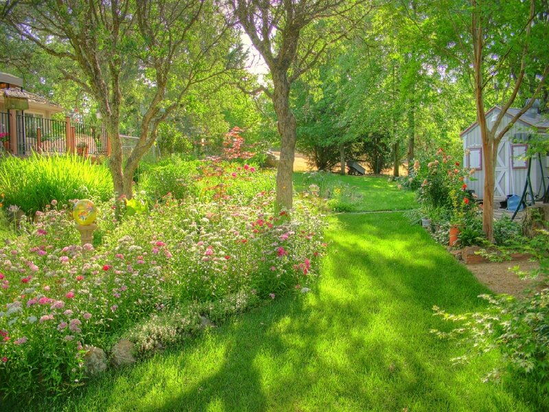 Sunlit garden path with flowers