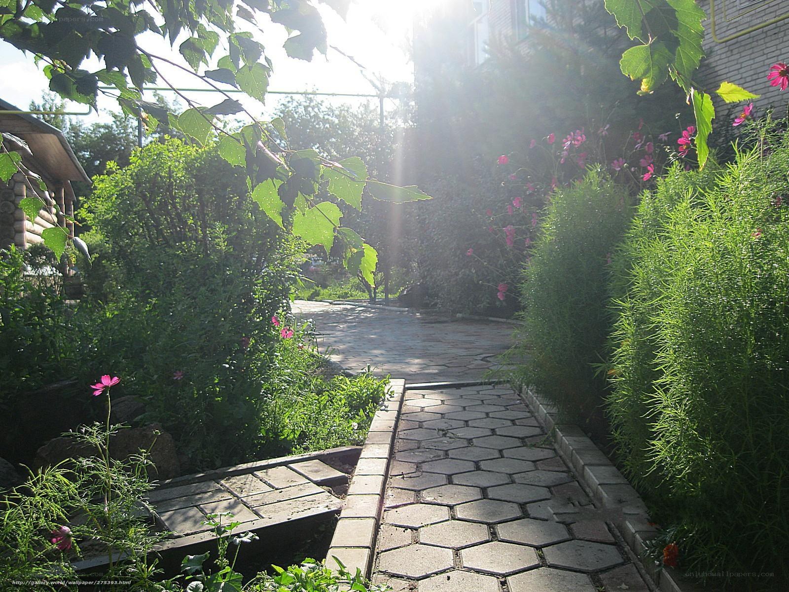 Sunlit garden path