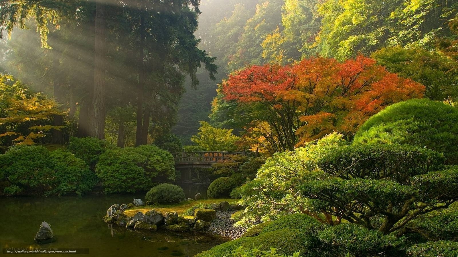 Sunlit garden with autumn trees