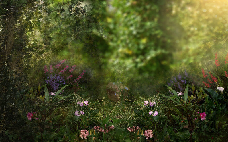 Sunlit garden with colorful flowers