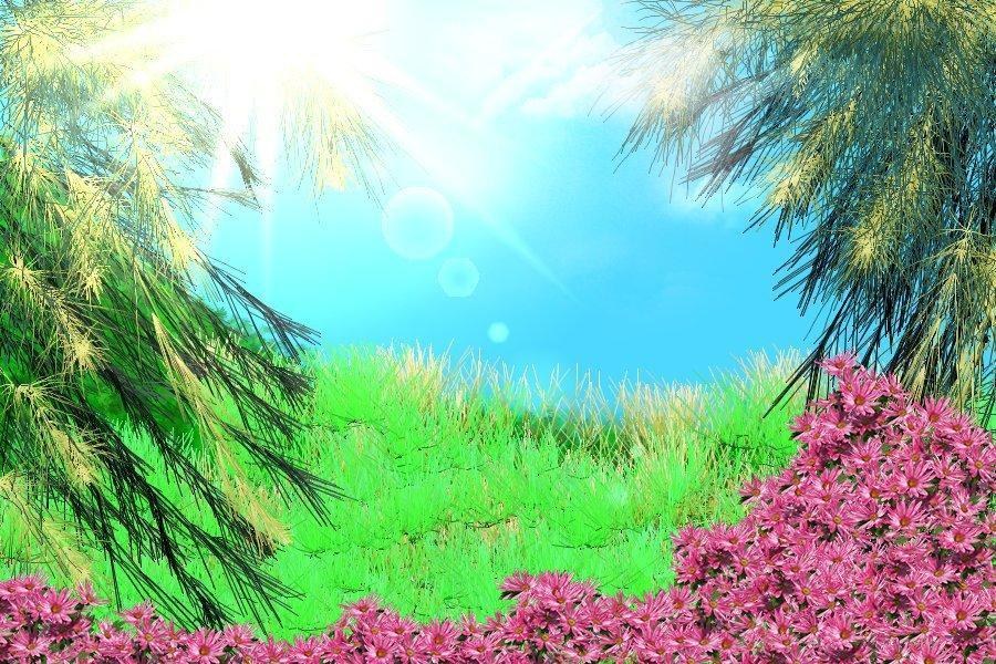 Sunlit garden with pink flowers