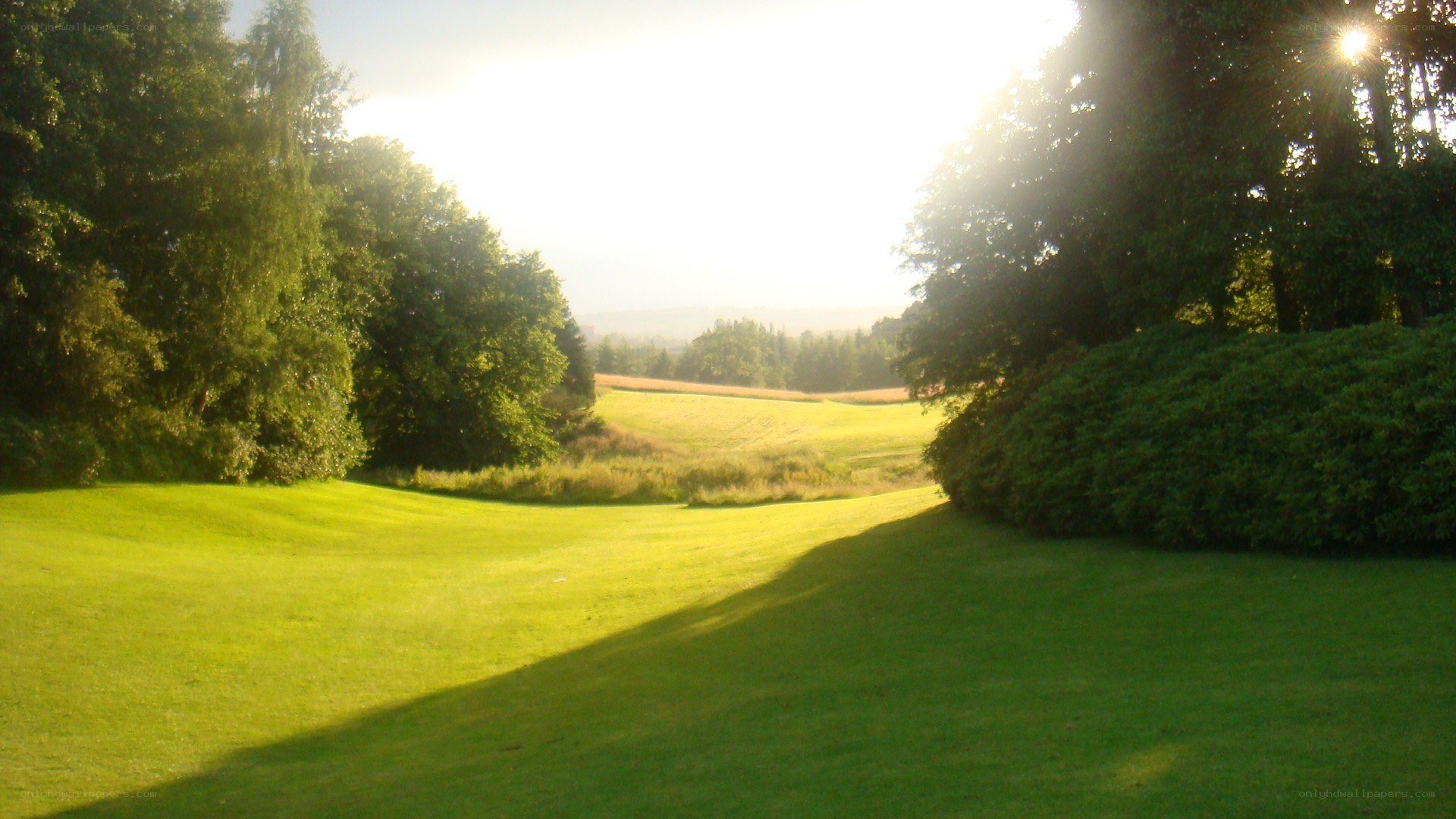 Sunlit golf course at dawn