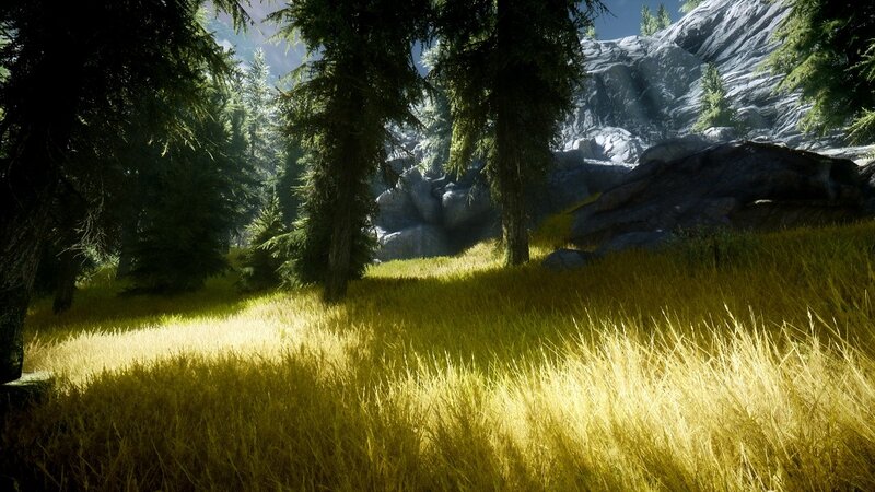 Sunlit Grassy Clearing — Yellow