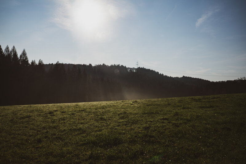 Sunlit Grassy Field — Green