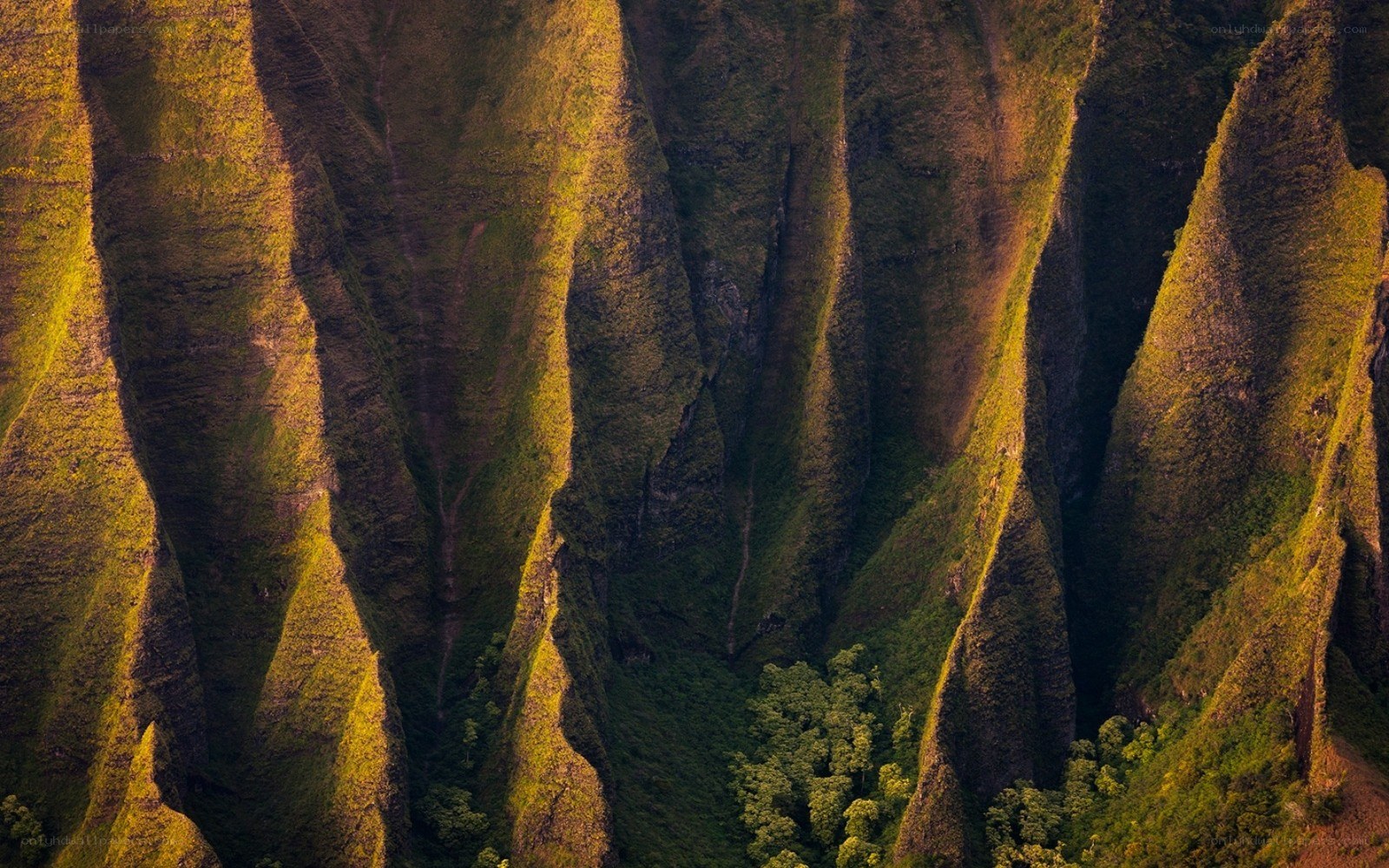 Sunlit green canyon walls