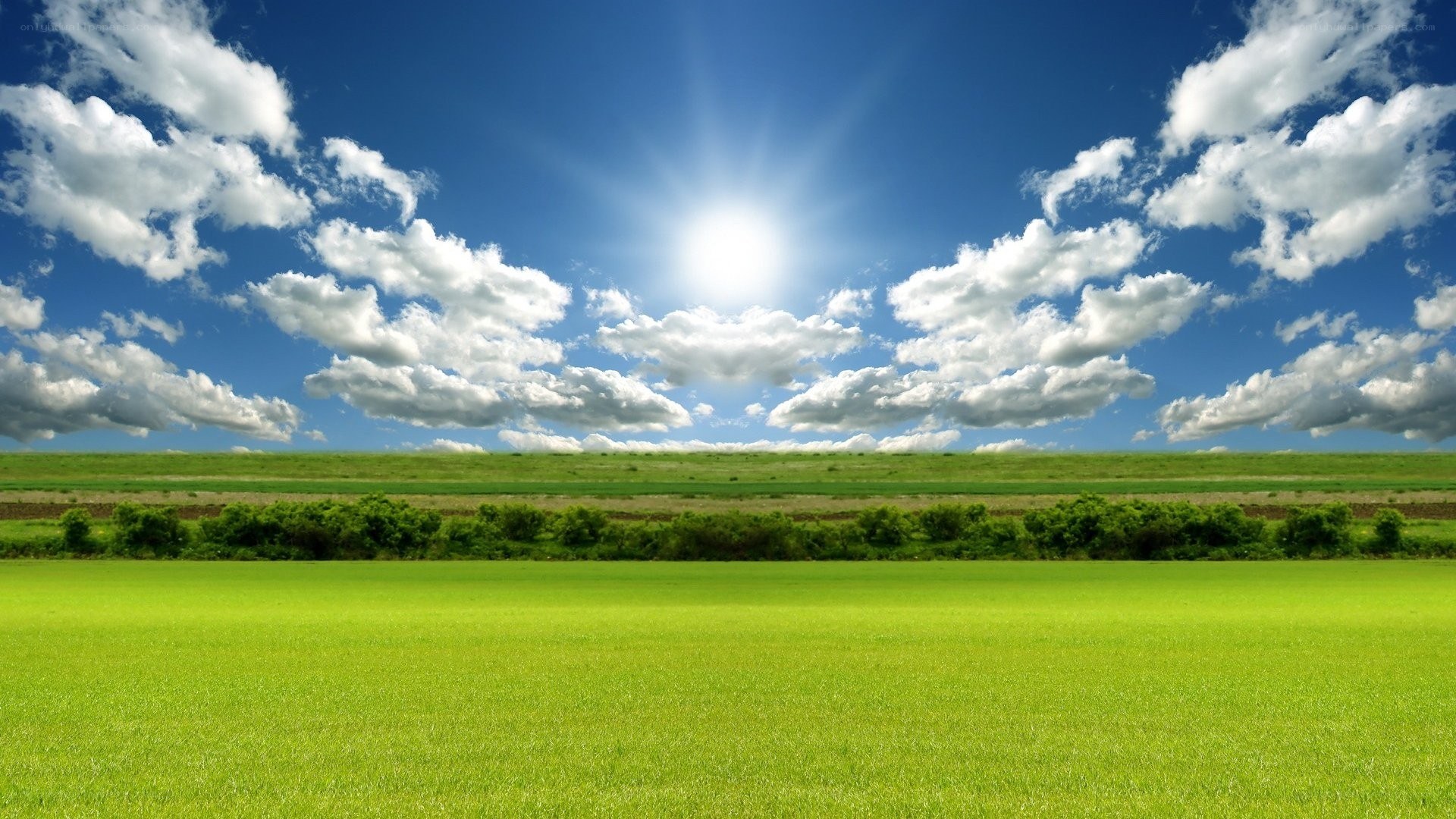 Sunlit green field landscape