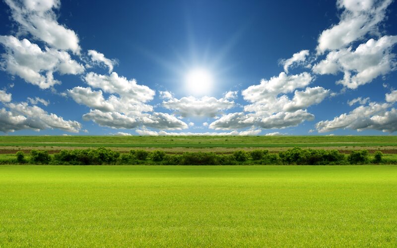 Sunlit green field landscape