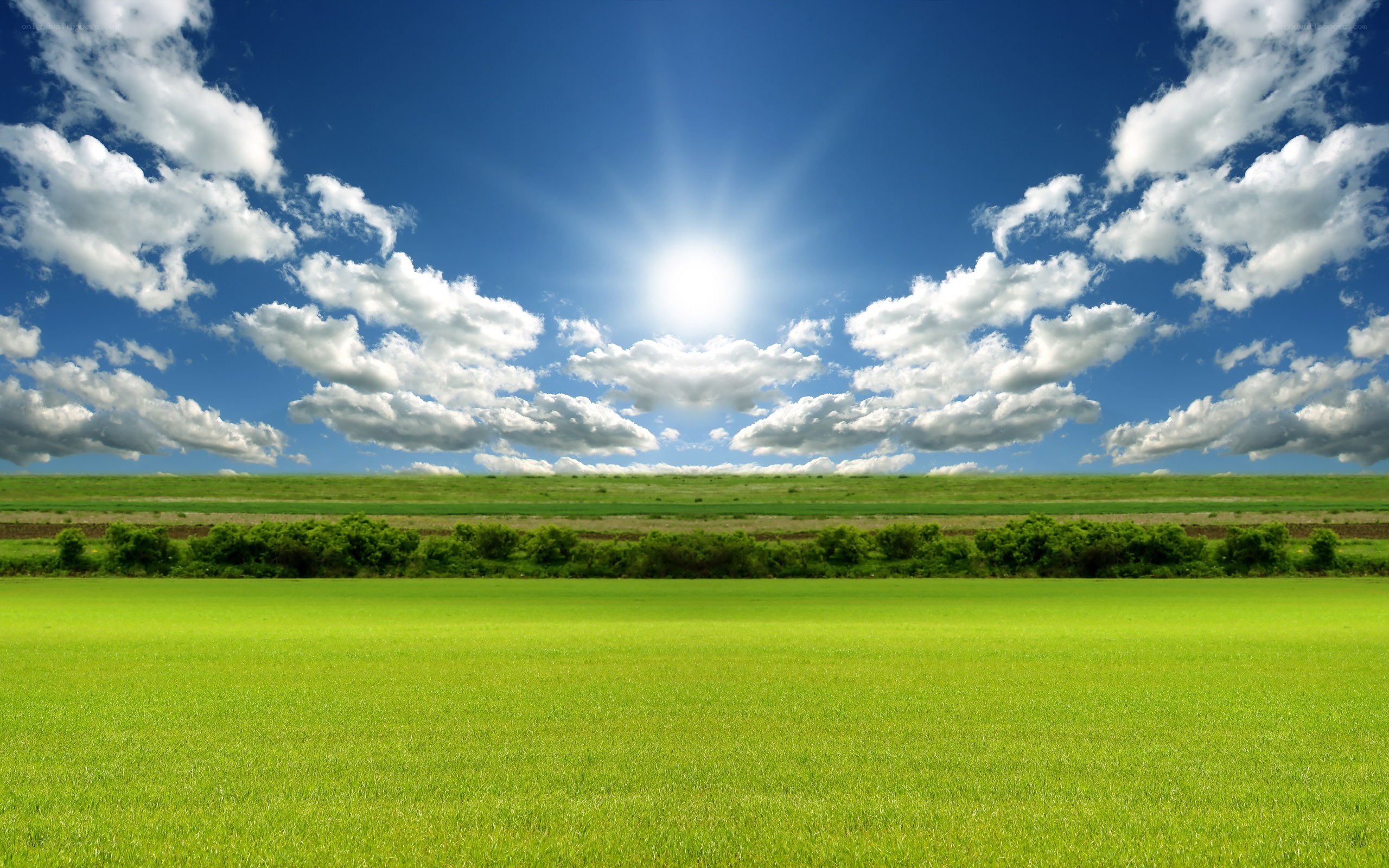 Sunlit green field landscape