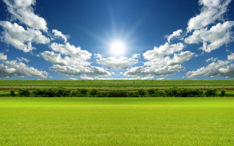 Sunlit green field landscape