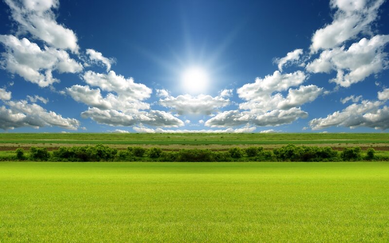 Sunlit green field under blue sky