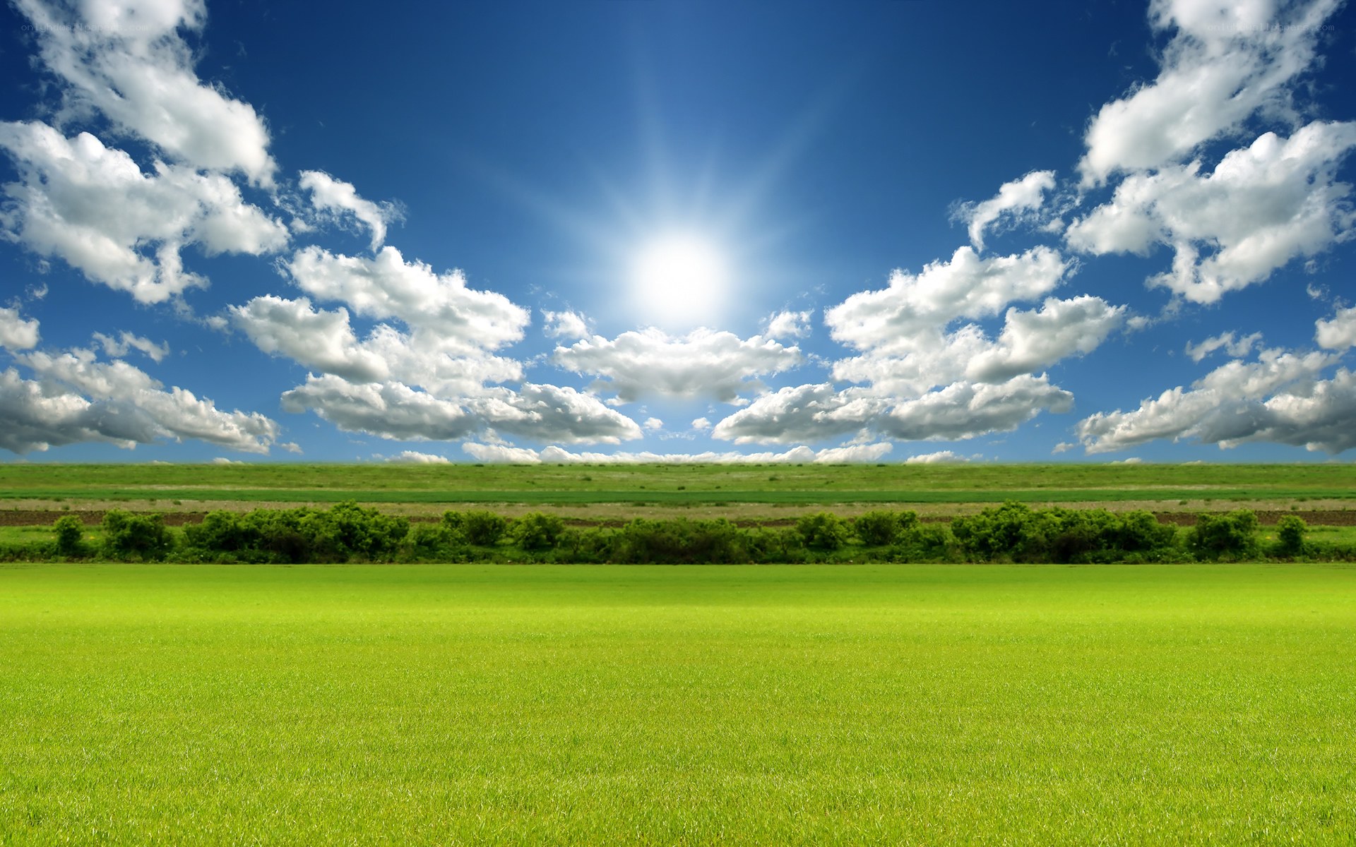 Sunlit green field under blue sky