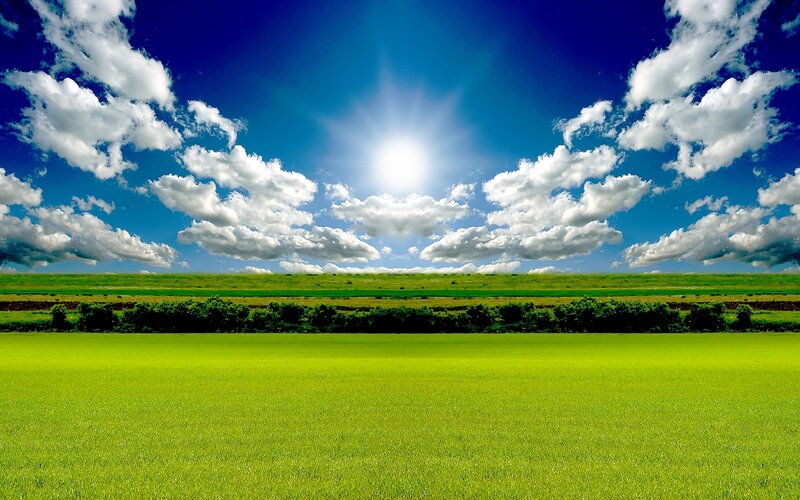 Sunlit green field under blue sky
