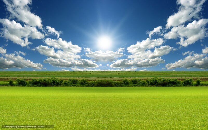 Sunlit green field under blue sky