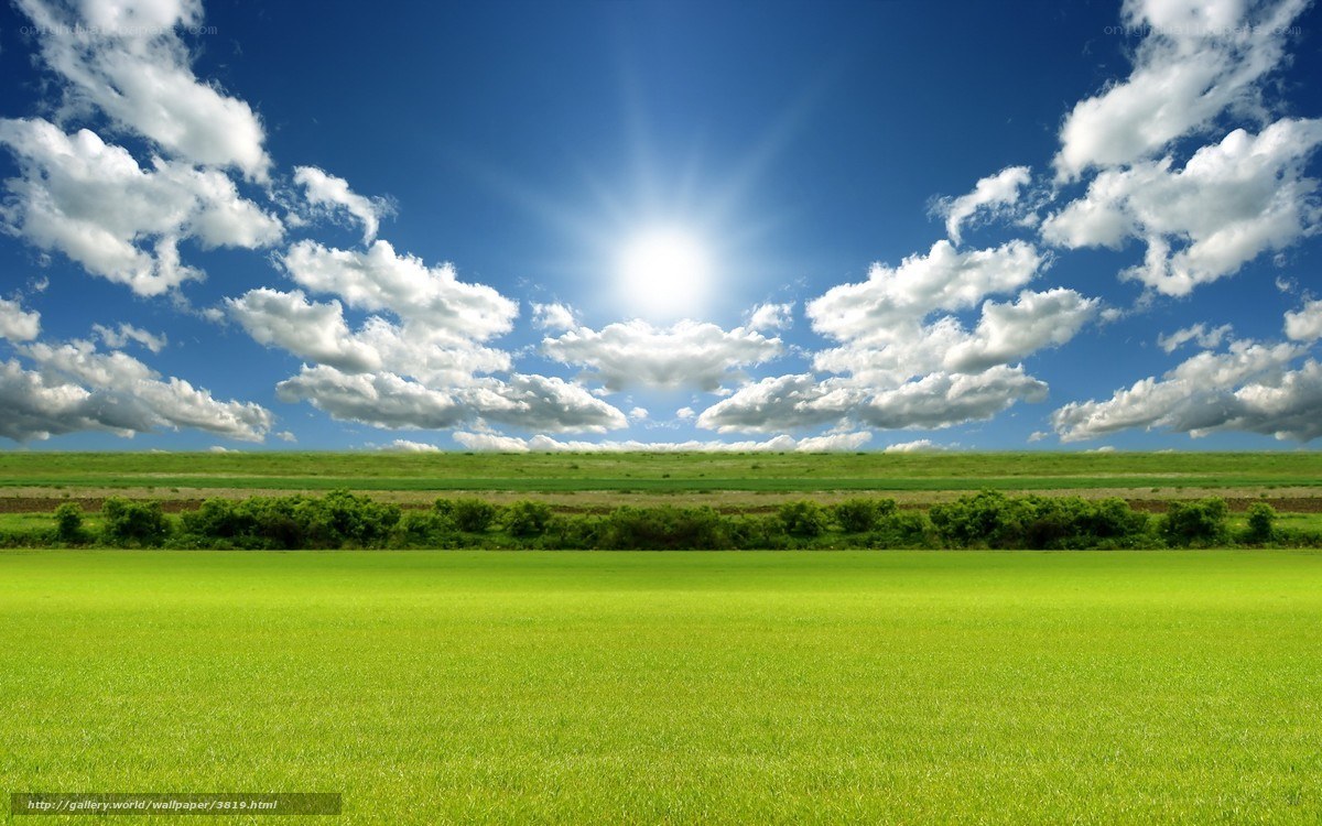 Sunlit green field under blue sky