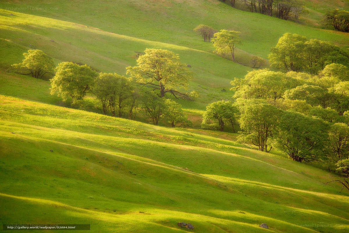 Sunlit Green Hills Landscape
