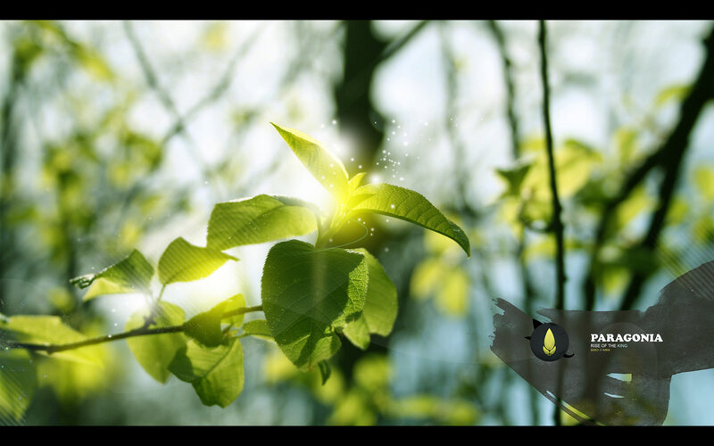 Sunlit Green Leaves — Serene, Morning, Photograph, Sunlight, Sparkles