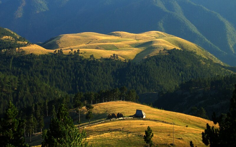 Sunlit hills and forest