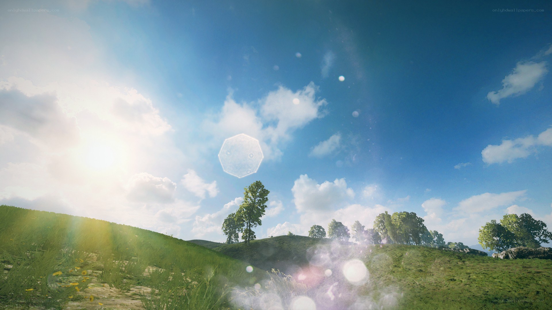 Sunlit hills with lens flare