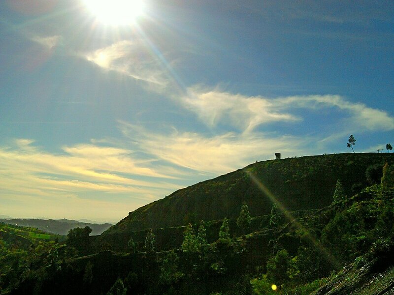 Sunlit Hillside Landscape — Blue