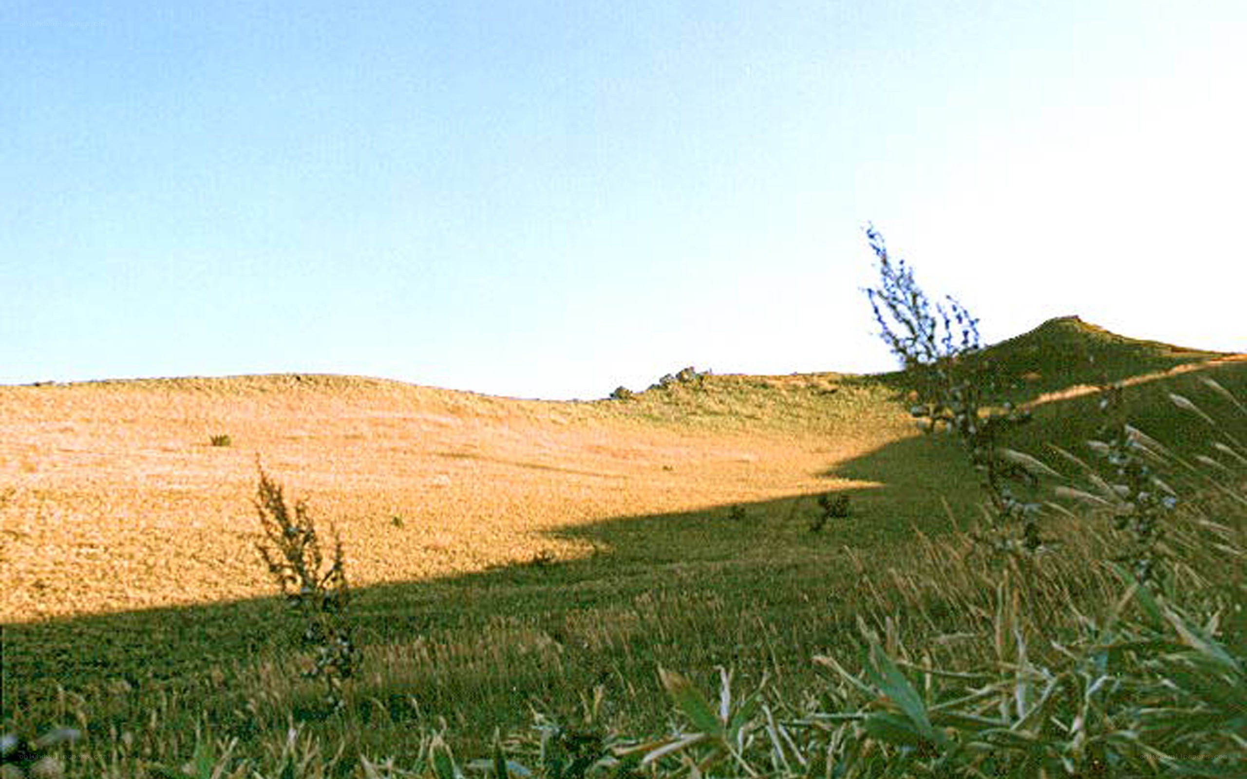 Sunlit hillside with grass and shadow