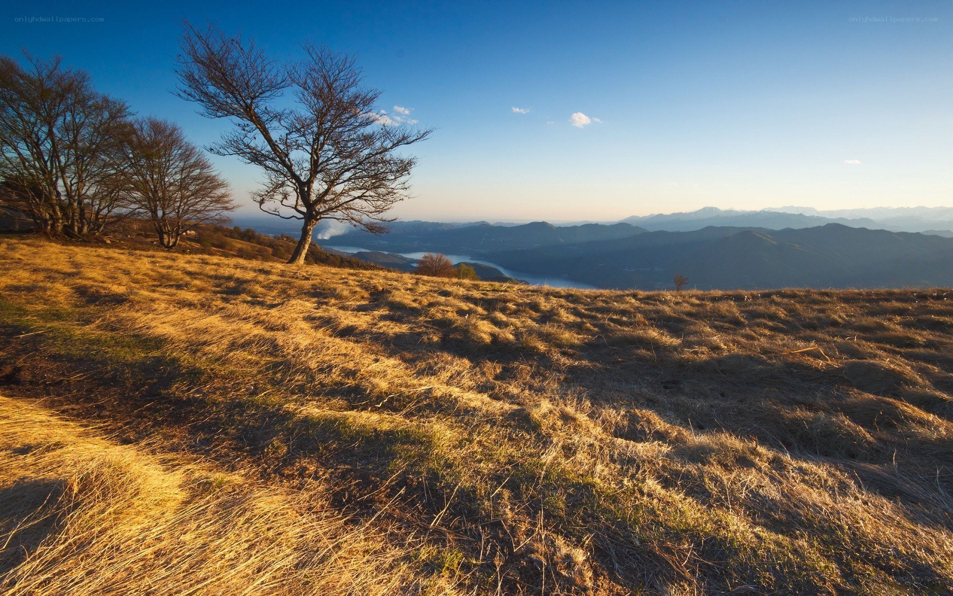 Sunlit hillside with lake view