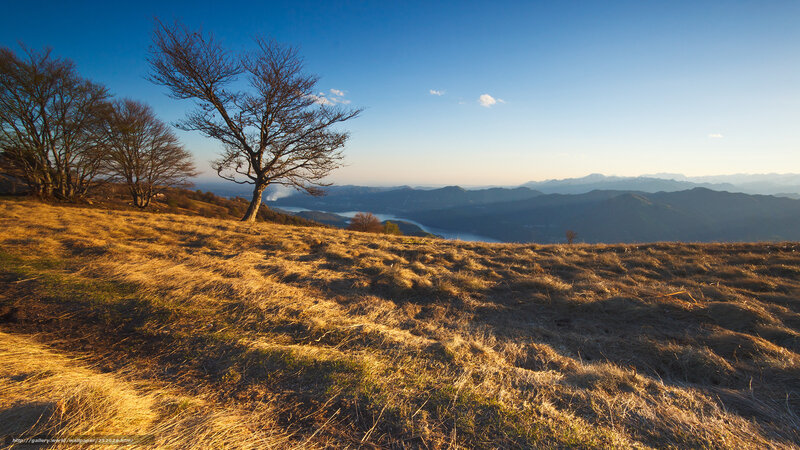 Sunlit hillside with lake view