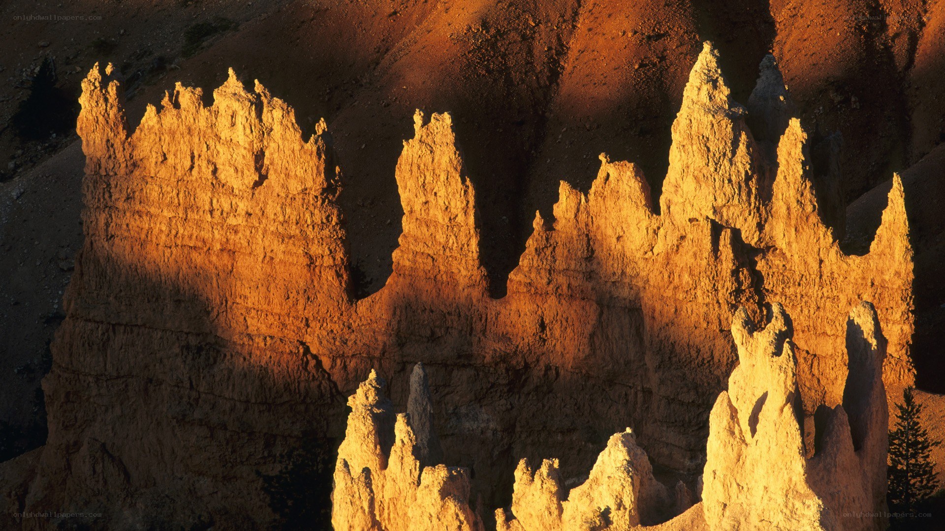 Sunlit hoodoos at Bryce Canyon