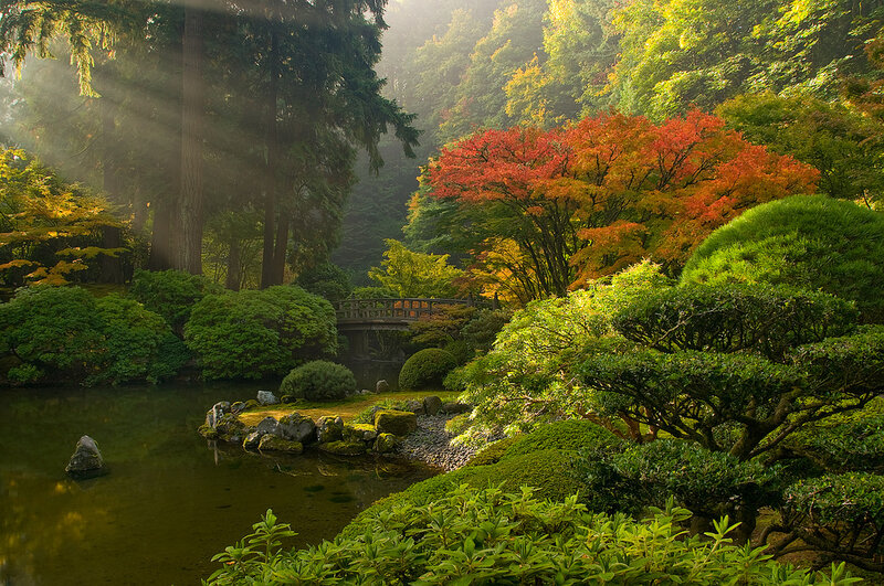 Sunlit Japanese garden