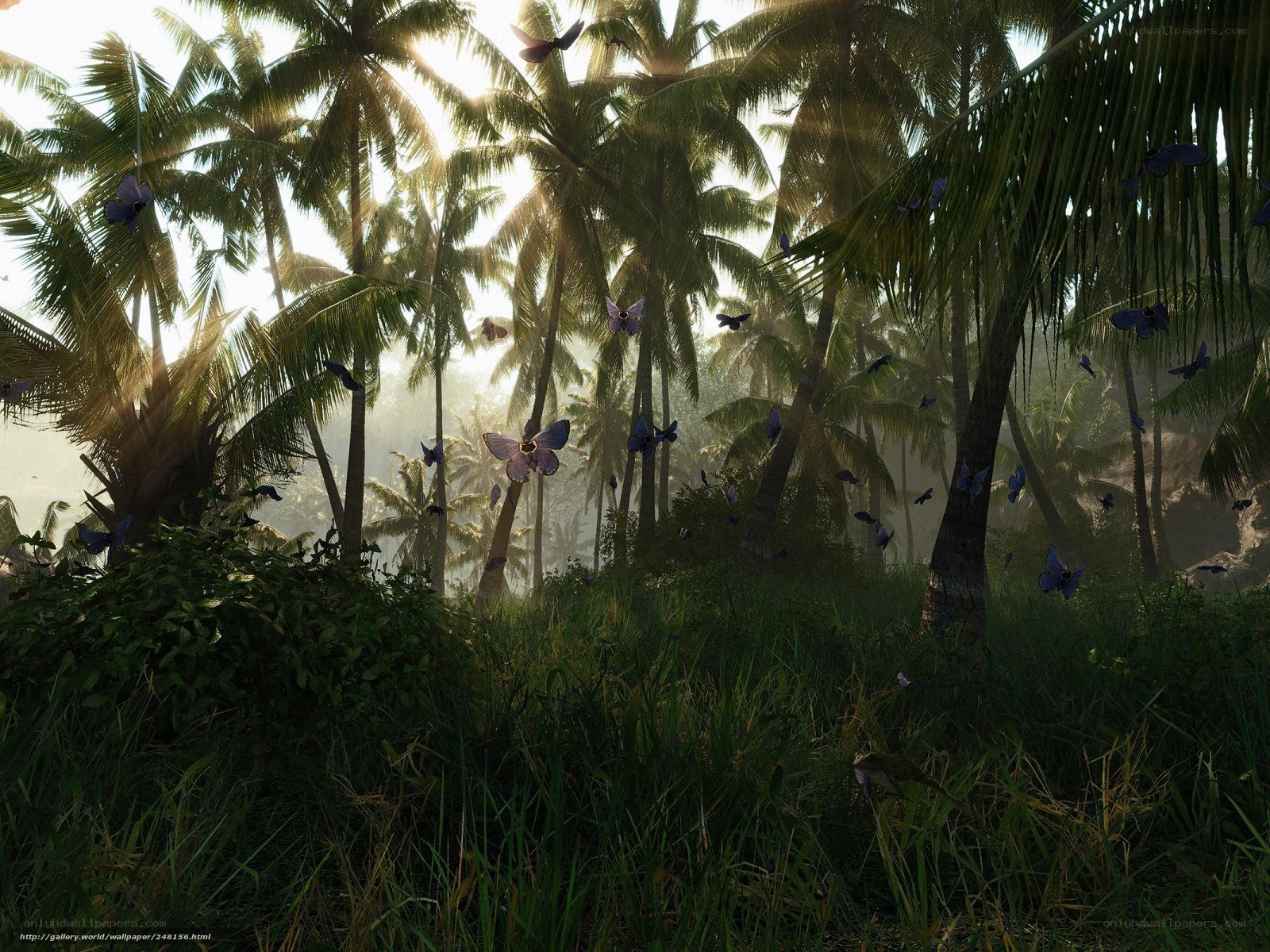 Sunlit jungle with butterflies